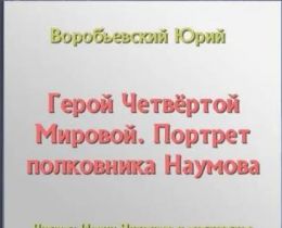 Герой Четвёртой Мировой. Портрет полковника Наумова