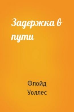 Задержка в пути