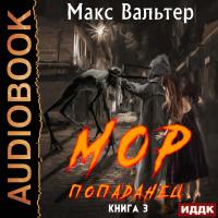 МОР Попаданец