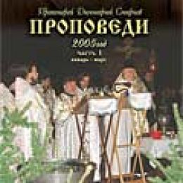 Проповеди протоиерея Димитрия Смирнова (январь - апрель 2008 года)