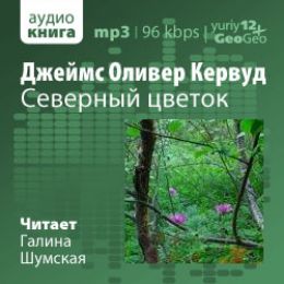 Северный цветок