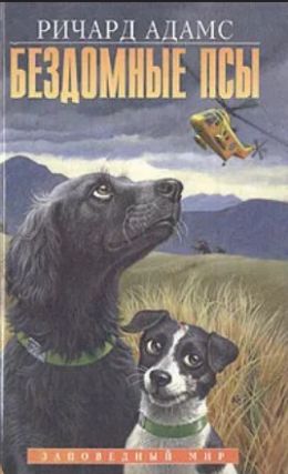 Бездомные псы