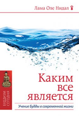Современное введение в учение Будды. Каким все является