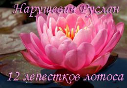 12 лепестков лотоса