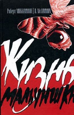 Жизнь мальчишки
